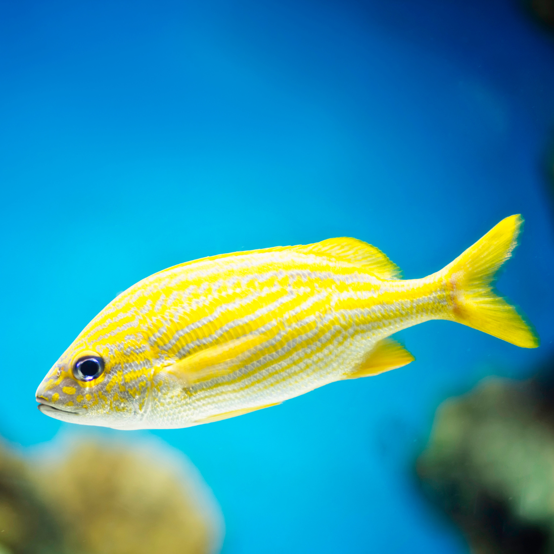 Microfiction Day 12 – “When I Grow Up”